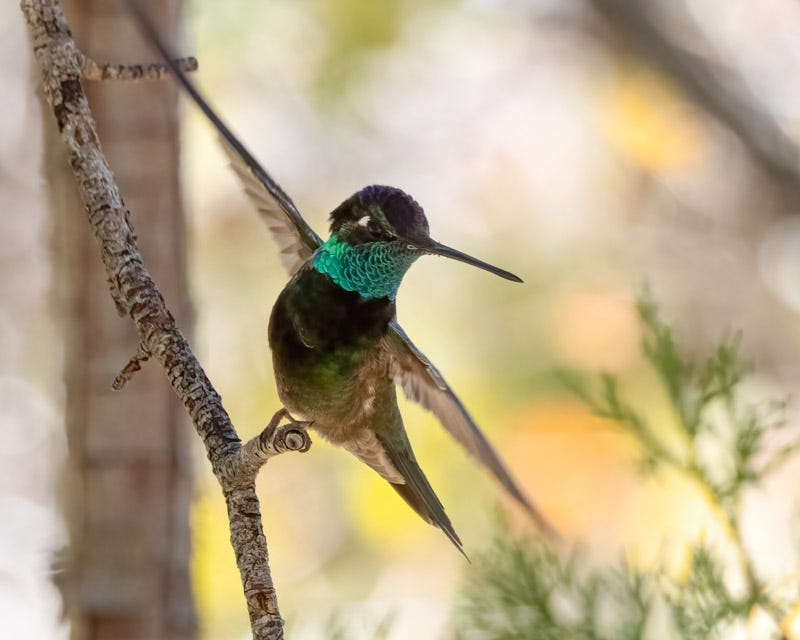20250521-MillerCanyon-80-Edit.jpg 20250521-MillerCanyon-80-Edit.jpg