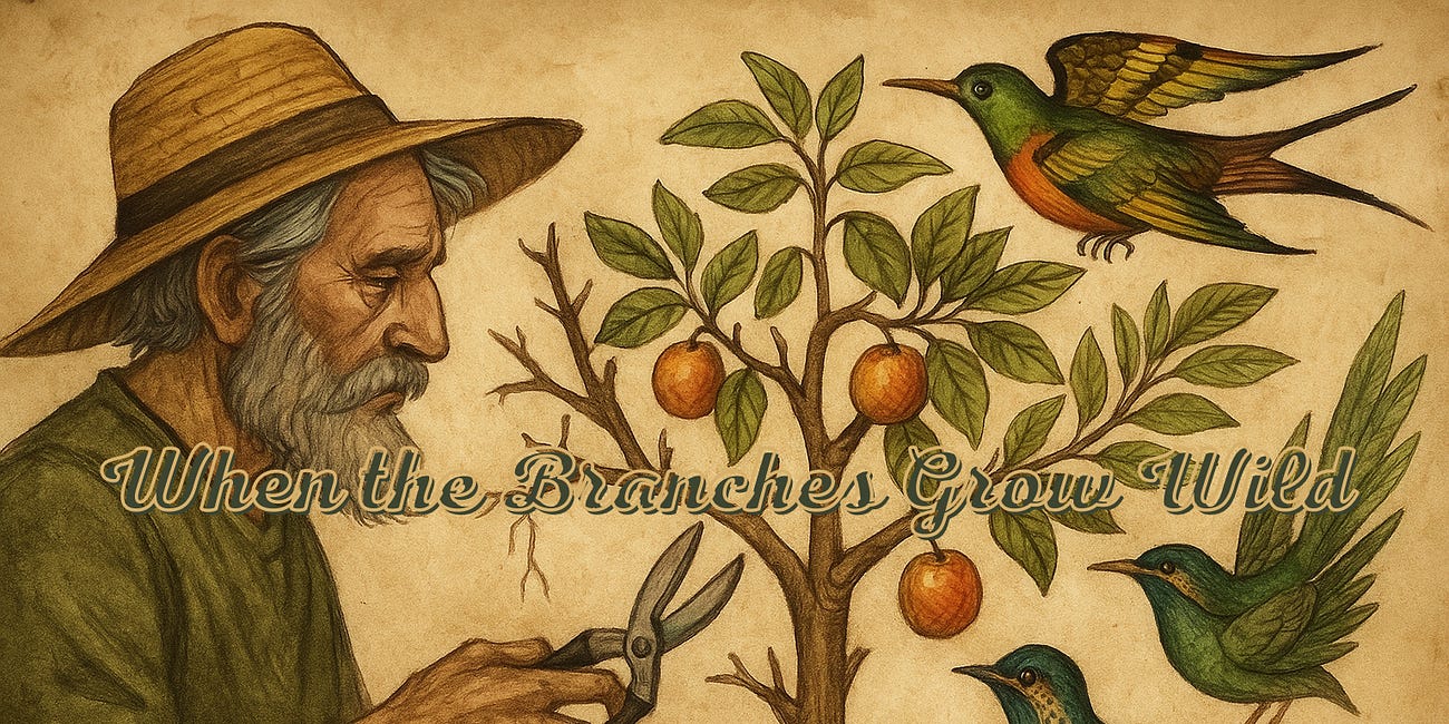When the Branches Grow Wild