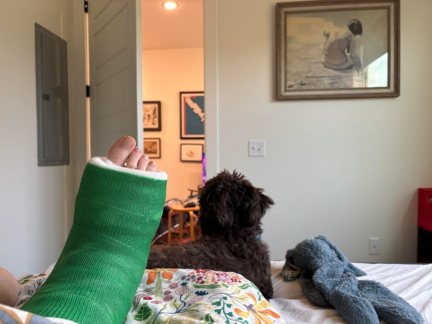 photo of green leg cast propped up on floral bedspread with brown dog looking away, curled next to the cast