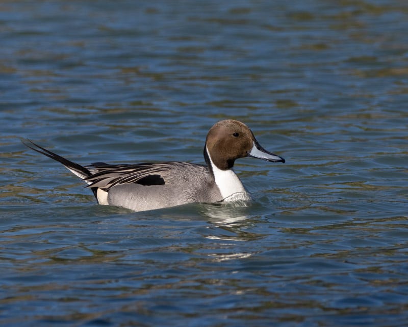 20250213-AguaCalientePark-50-Edit.jpg 20250213-AguaCalientePark-50-Edit.jpg