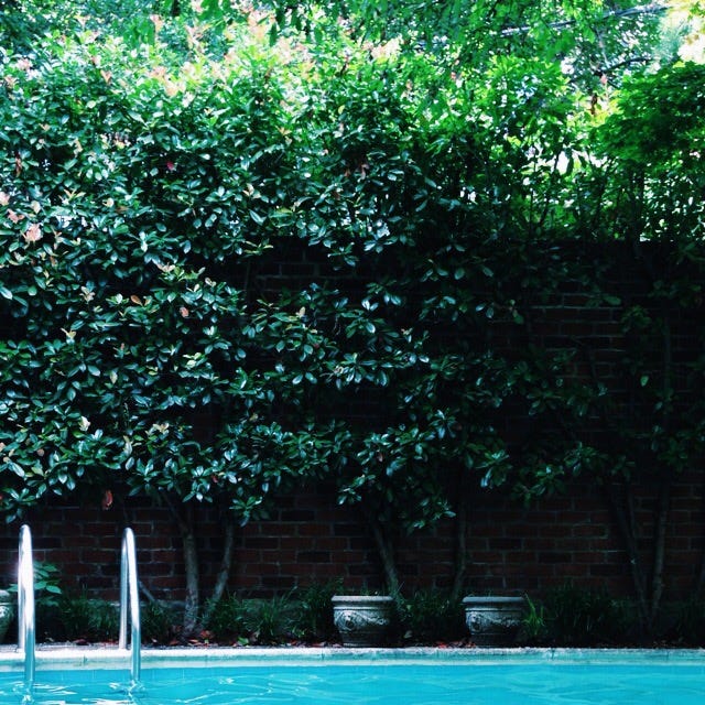 Bare Necessities: Summer Edition