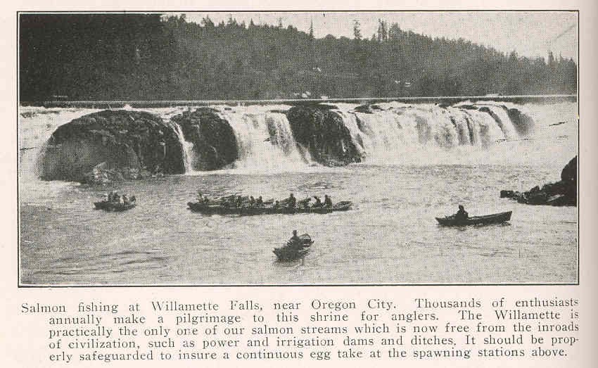 Historical photograph of rowboats and fishermen below a full, fast, waterfall.
