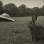 T.W.Burrows's avatar