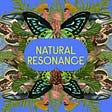 Natural Resonance's avatar