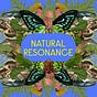 Natural Resonance's avatar