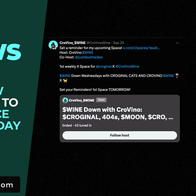 CroVino and Croginal Collaborate for Weekly X Space