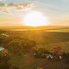 Queensland seeks feedback on biosecurity rules