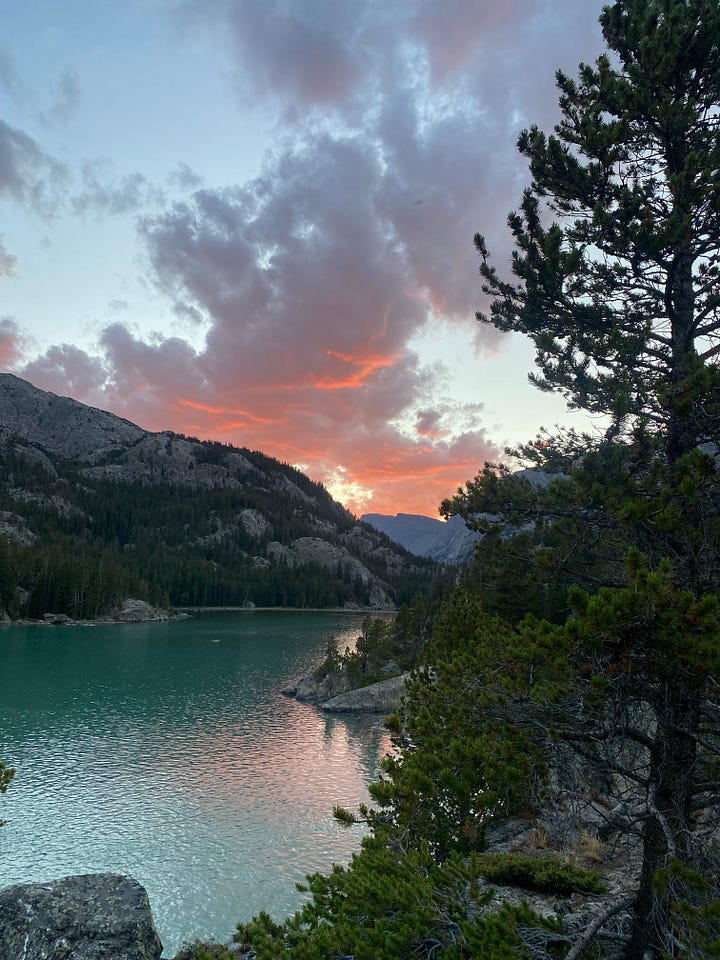 Image of sunset over a mountain lake, image of two dogs in the Red Desert, image of an elk antler shed and a prickly pear bloom, image of author backpacking in the Wind Rivers.
