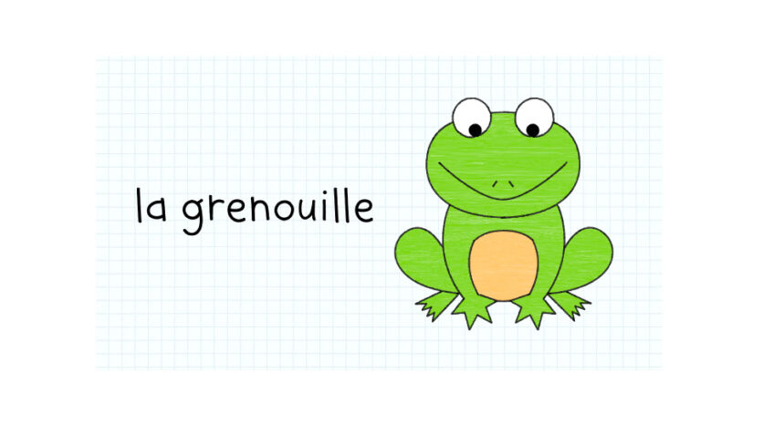 Dessin de grenouille facile à faire en vidéo avec Sam la Petite Salamandre - La Salamandre Dessin de grenouille facile à faire en vidéo avec Sam la Petite Salamandre - La Salamandre