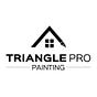 Triangle Pro Painting's avatar