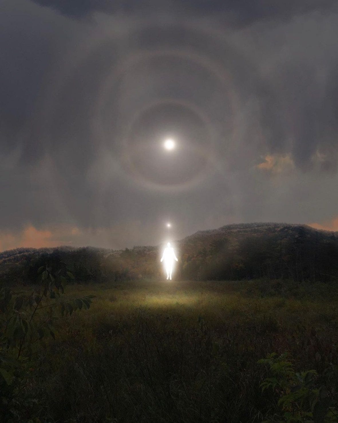 Female Pentimento - COEVAL Magazine