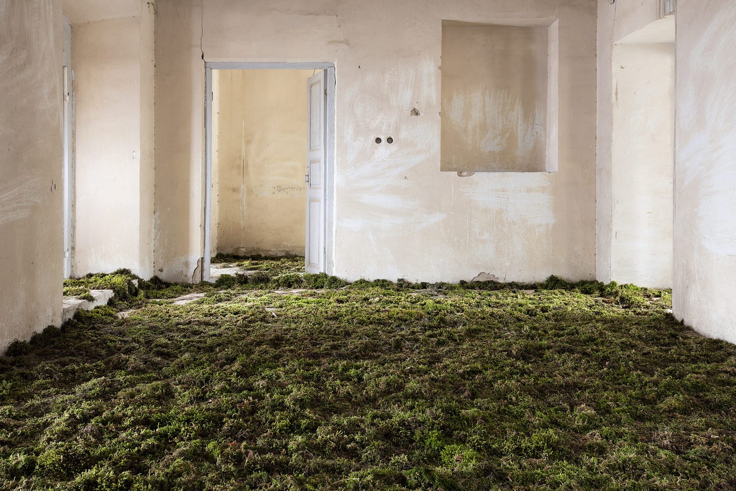 "Untitled #3" from the series "Home", by Gohar Dashti