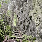 Bruce Trail Remains Closed in Several Sections as Ice Storm Cleanup Continues