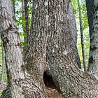 This 2.5-mile Hike Is One of Our Favorites