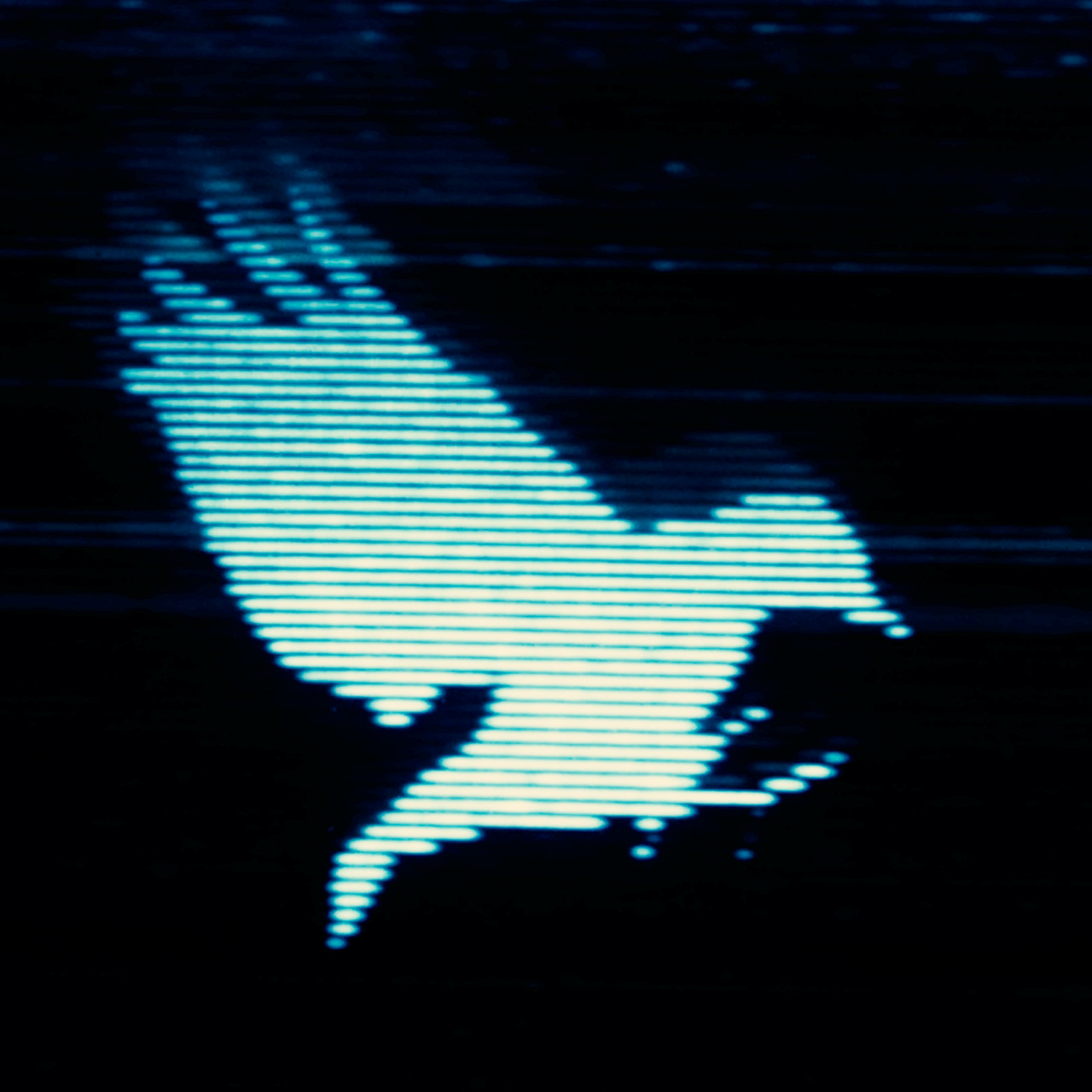 Seeing Through Film - Thomas Flight