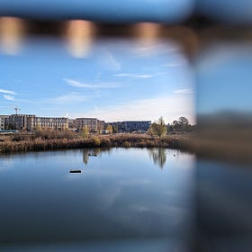 Rewilding in New Housing Developments: Exploring the Opportunities at Brook Leys, Cambridge