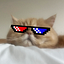 User's avatar