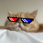 marie nguyen's avatar