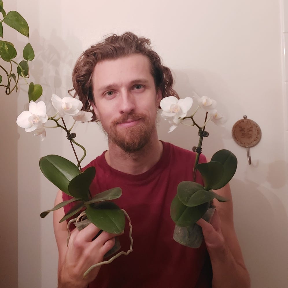 Artwork for Andrew’s Substack