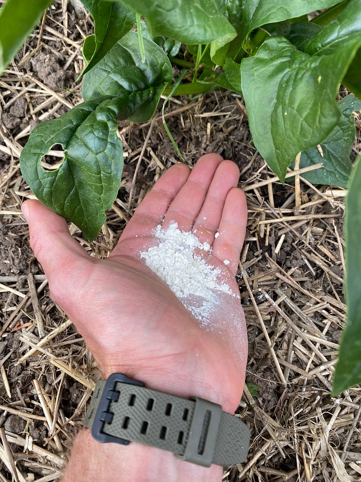 structured water with diatomaceous earth