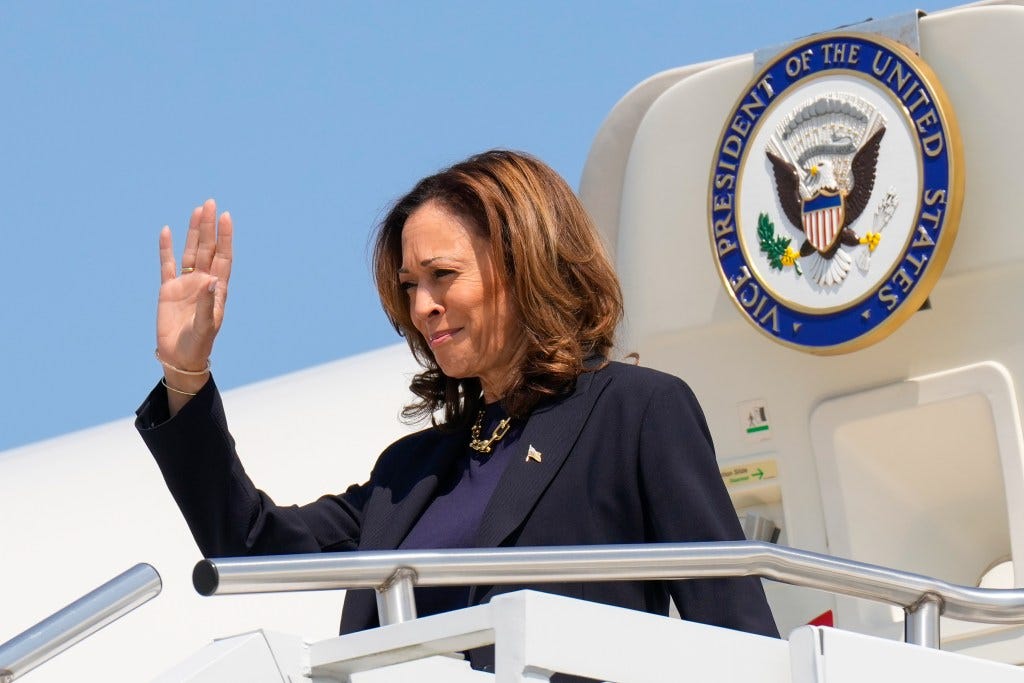 Democratic presidential nominee Vice President Kamala Harris