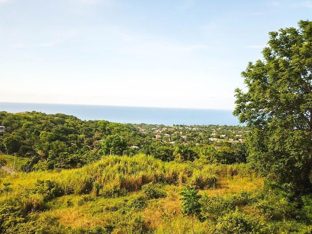 Spring Valley, Jamaica: A Harmonious Haven of Opulence and Jamaican Essence by Jamaica Homes