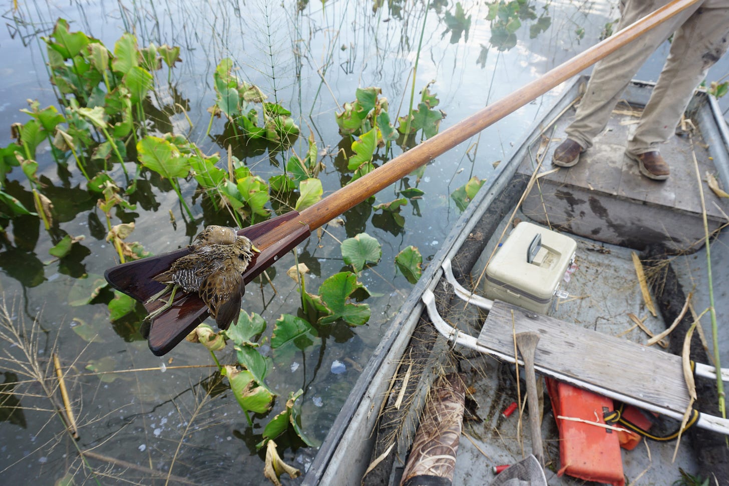 A sora rail on the end of a push pole.