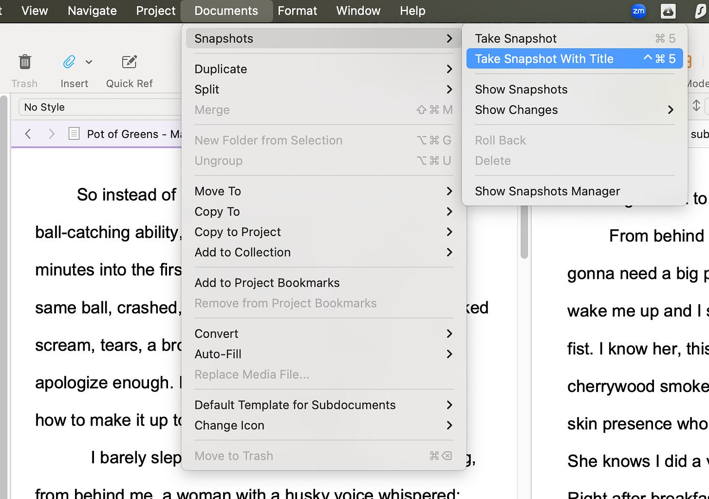 snapshot menu screenshot