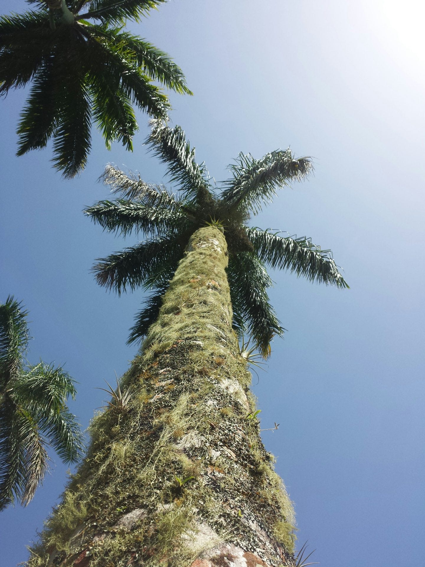 Parish Profile: St. Ann