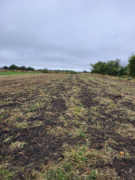 Scenes around the farm this week