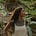angelica camillo's avatar