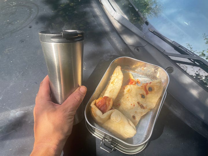 Lunch time. A homemade flat bread with cheese and bacon with coffee. I also took a few minutes to appreciate an oak apple that I found on the underside of a leaf. These apples are actually wasp eggs. I didn't eat it.