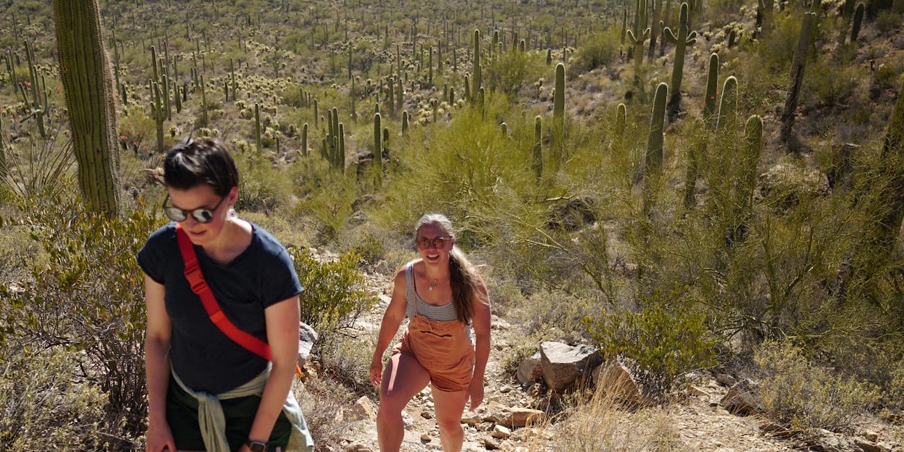 Saguaro National Park