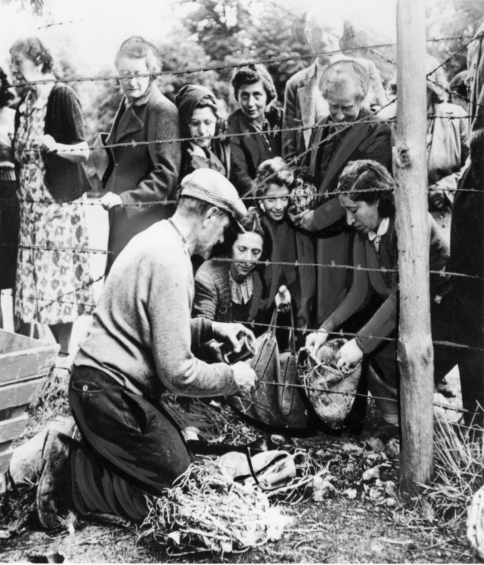The Resistance WWII