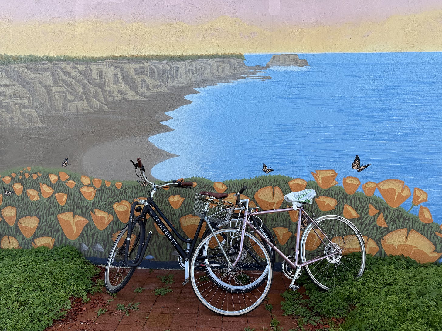 two bikes against a mural of coastline and poppies