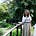 Selah Ritchie's avatar