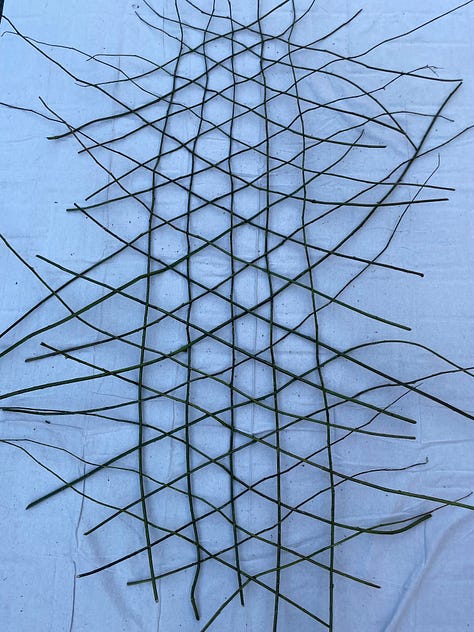 Mother Earth provided the materials to weave a cover for the coffin.