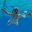 Ledion Spaho's avatar