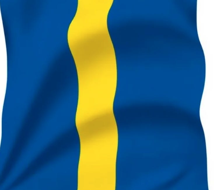 LAGOM: A Meditation on Swedish Total Defence
