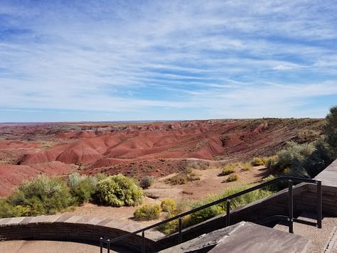 Petrified trees in the Painted Desert, Arizona, courtesy of the author