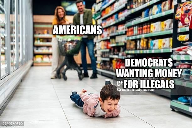 r/ConservativeMemes - Democrats are still fighting the Will of the People.