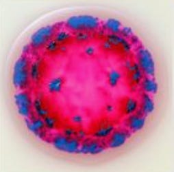 Substack profile picture for @piercing