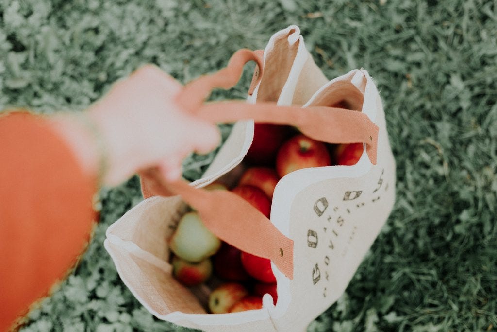 Grocery Shopping 101