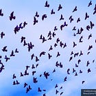 Bill Gates' CEPI Revives Moderna mRNA Bird Flu Vaccine Development With $54M Investment After HHS Terminated Funding