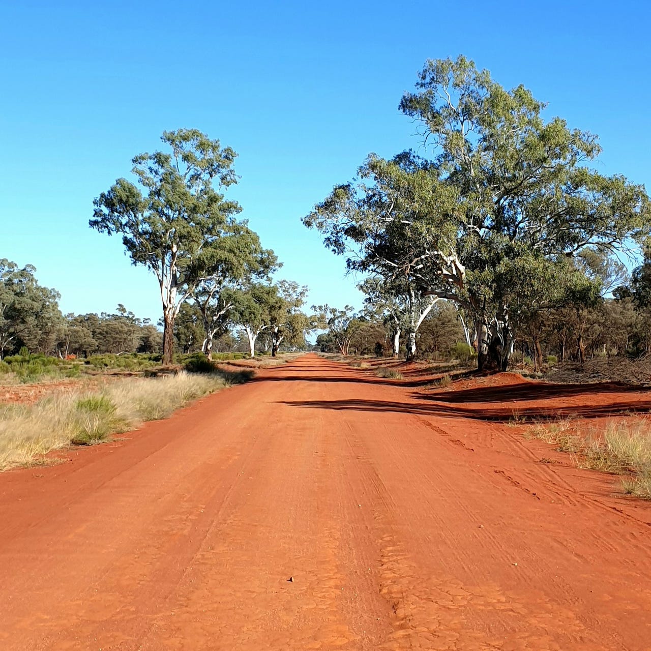 Stories from Australia - Nicole Alexander