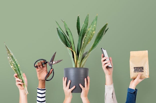 Free photo online plant seller green background