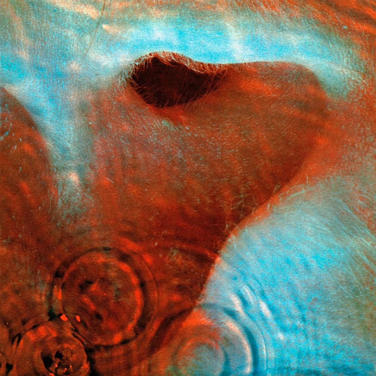 Meddle: Amazon.co.uk: CDs & Vinyl