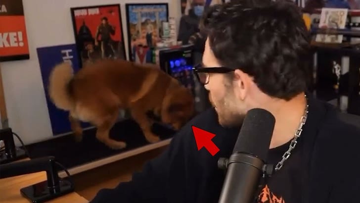 Hasan Piker Shouts at Dog On Live Stream