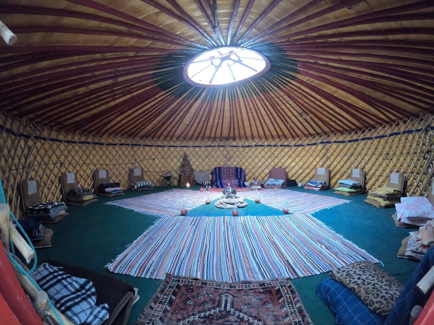 Ayahuasca, a Journey of a Lifetime