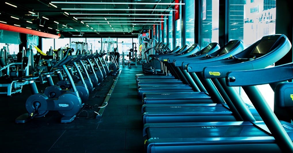 a row of exercise machines in a gym a row of exercise machines in a gym